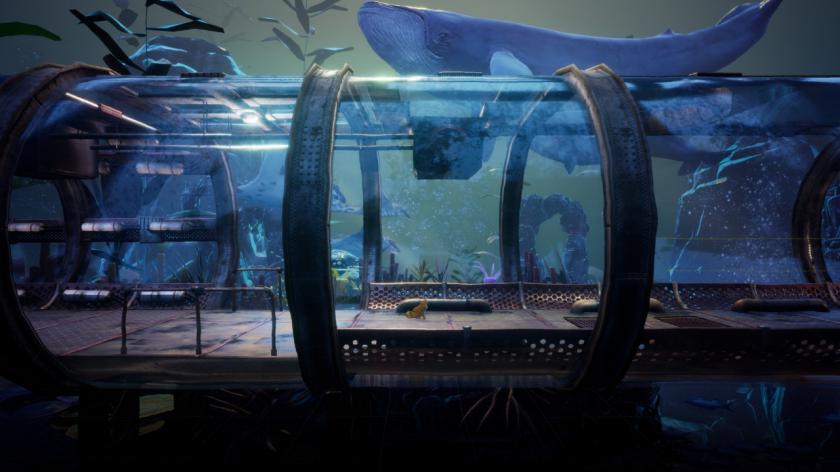 别样视界：决定版